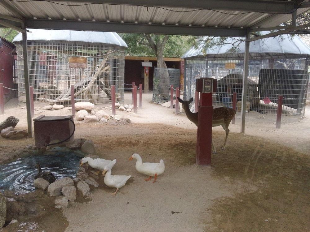 Bonnie Springs Ranch Motel Blue Diamond Ngoại thất bức ảnh