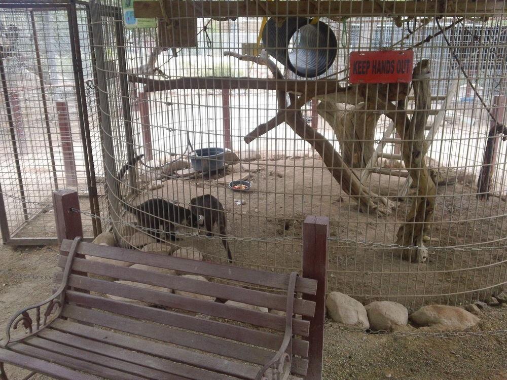 Bonnie Springs Ranch Motel Blue Diamond Ngoại thất bức ảnh