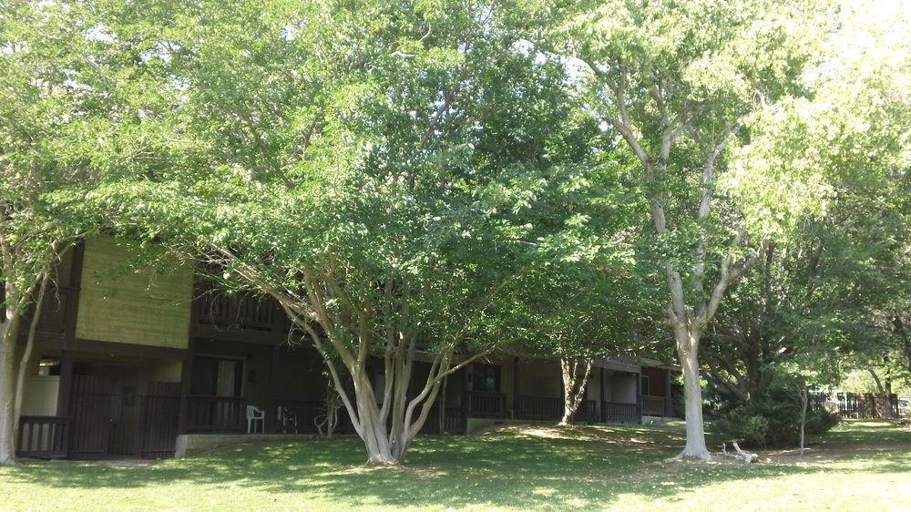 Bonnie Springs Ranch Motel Blue Diamond Ngoại thất bức ảnh