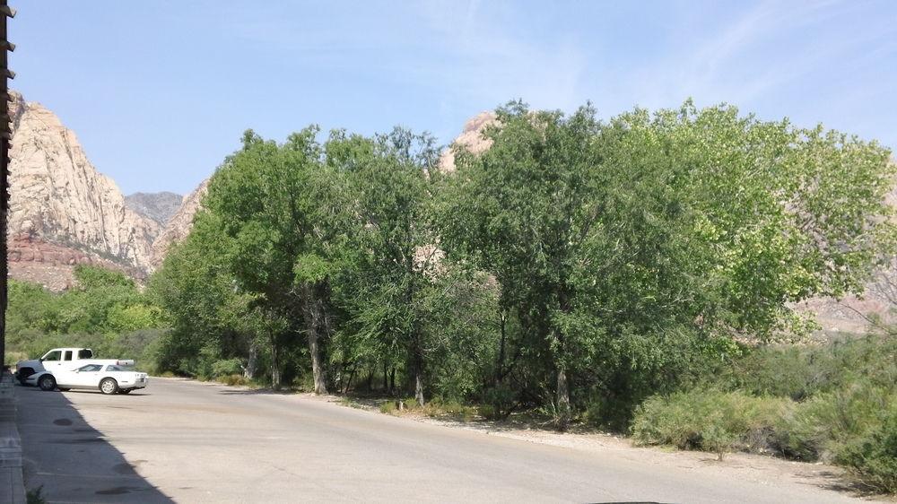Bonnie Springs Ranch Motel Blue Diamond Ngoại thất bức ảnh