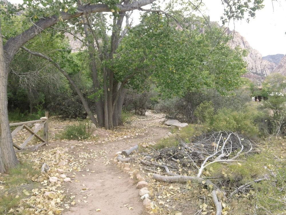 Bonnie Springs Ranch Motel Blue Diamond Ngoại thất bức ảnh