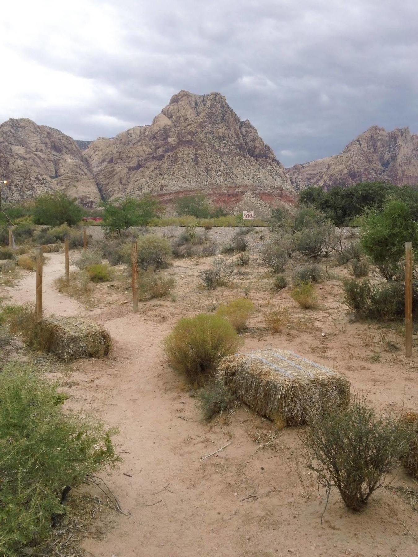 Bonnie Springs Ranch Motel Blue Diamond Ngoại thất bức ảnh